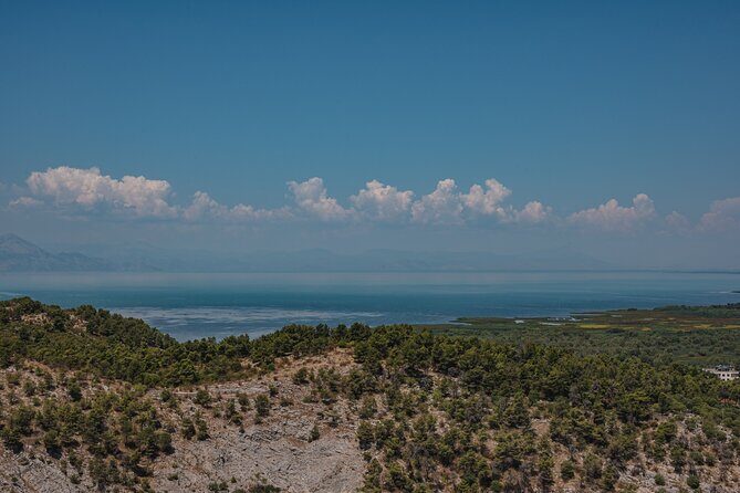 Shkodra from Tirana: Day Tour of castle, city & Skadar Lake - The Practical Side: Logistics, Cost, and Tips
