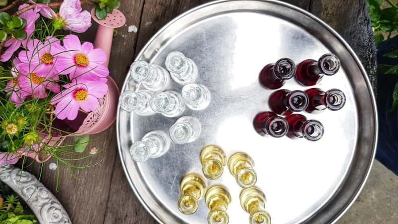 Shkodra: Walking Tour with Traditional Dinner - What’s Included and What to Expect