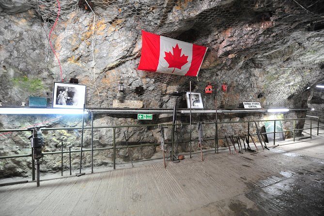 SHORE EXCURSION 3hrs Tunnel Tour - Who Should Consider This Tour?