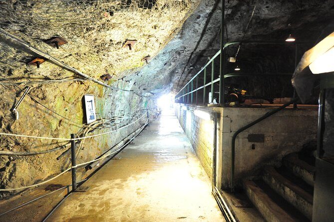 SHORE EXCURSION 3hrs Tunnel Tour - Frequently Asked Questions