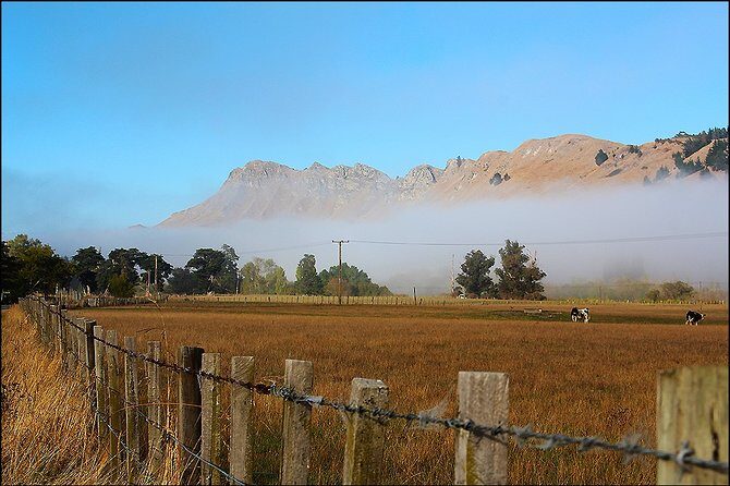 Shore Excursion: 4-Hour Discover Hawkes Bay and Napier Tour - The Value of This Tour