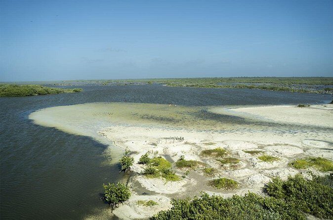 Shore Excursion: Buggy Tour, Punta Sur Park & Beach Relaxation - What Real Travelers Are Saying