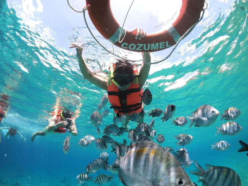 Shore Excursion: Clear Boat Tour with Snorkel & Drinks - A Closer Look at the Experience