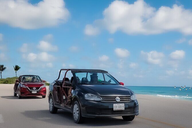 Shore Excursion: Cozumel Buggy Tour, Beach Visit & Mexican Lunch - Key Points