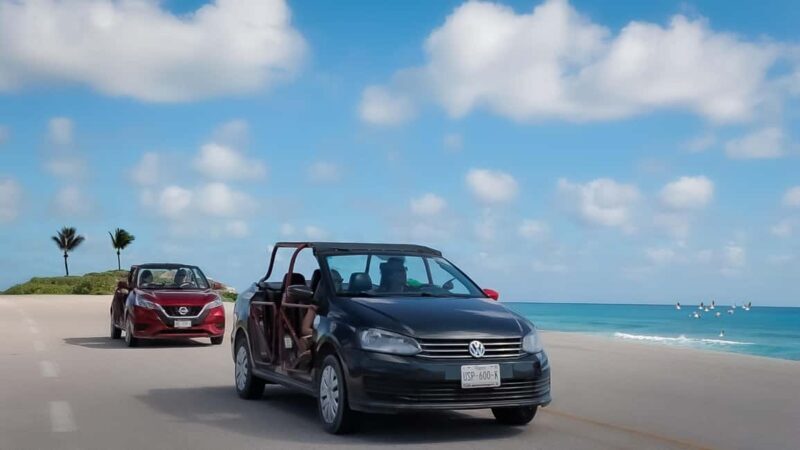 Shore Excursion: Cozumel Island Buggy Tour & Beach Visit - The Experience: What Travelers Say