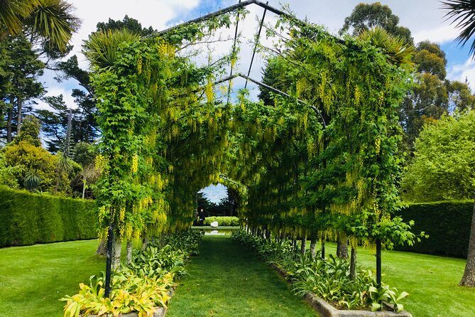 Shore Excursion: Dunedin City, Otago Peninsula, Castle Gardens & Olveston Tour - Final Thoughts