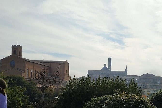 Shore excursion from Livorno to Siena and San Gimignano by private minivan - An In-Depth Look at the Tour Experience