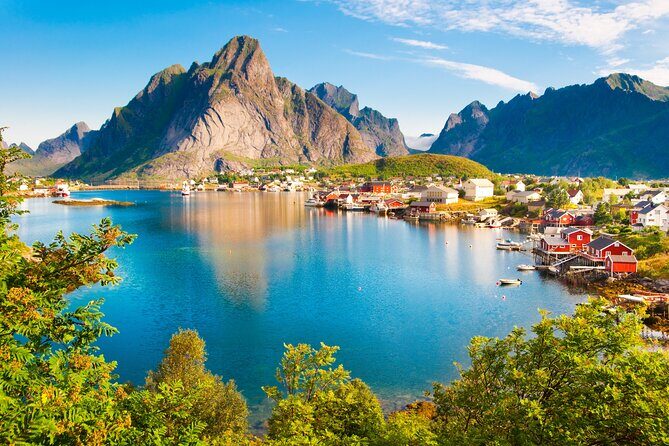 Shore Excursion Full day Private Tour in Lofoten - What Makes This Tour Stand Out?