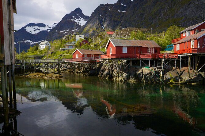 Shore Excursion Full day Private Tour in Lofoten - FAQs