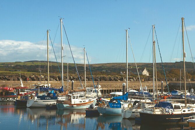 Shore Excursion: Giants Causeway Tour From Belfast Port - Practical Details That Matter