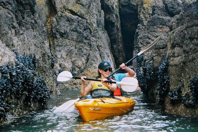 Shore Excursion Guided Sea Kayaking through Akaroa Marine Reserve - The Real Value of This Tour