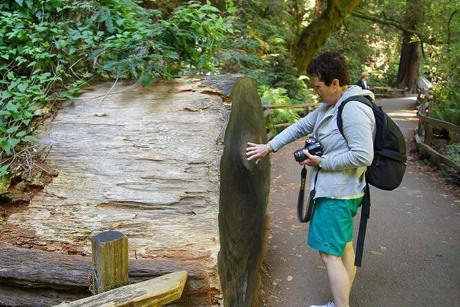 Shore Excursion: Guided Tour to Muir Woods with Roundtrip Journey - Details That Matter