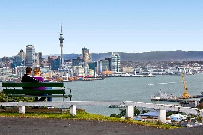 Shore Excursion: Half-Day Auckland Volcanoes Tour - What We Love About This Tour