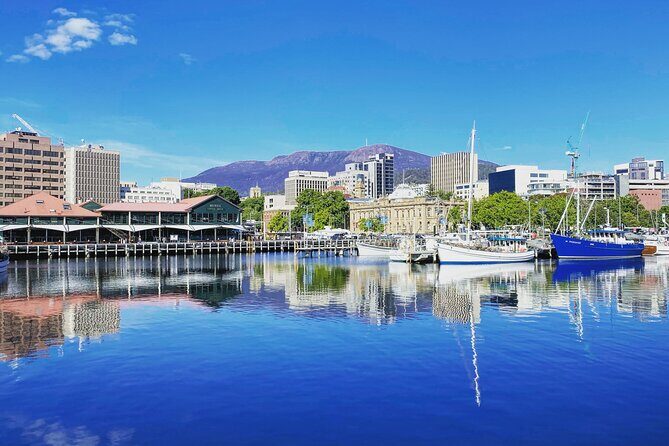Shore Excursion: Hobart Highlights Day Tour - Who Is This Tour Best For?