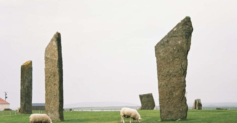Shore Excursion Kirkwall: Small Group Highlights of Orkney - Who Should Book This Tour?