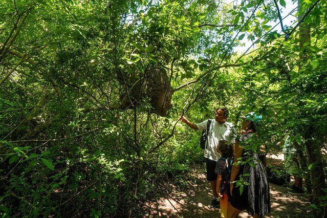 Shore Excursion Mazunte and Ventanilla Crocs & Turtles - Final Thoughts