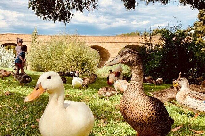 Shore Excursion - nipaluna (Hobart) Highlights - Why This Tour Might Be Perfect for You