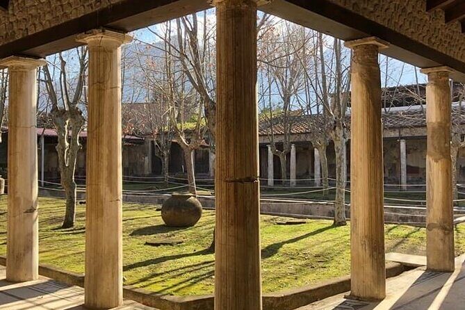 Shore excursion Pompei Vesuvius Herculaneum from Naples port - The Sum Up: Who Is This Tour Best For?