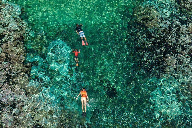 Shore Excursion Premium Family Snorkeling Experience - A Closer Look at the Snorkeling Tour in Huatulco