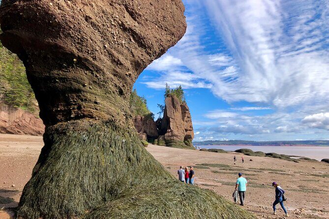 Shore Excursion to Hopewell Rocks and Fundy National Park - Stop 1: Hopewell Rocks