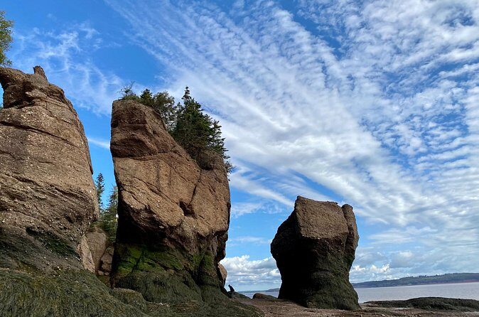 Shore Excursion to Hopewell Rocks and Fundy National Park - Stop 3: Alma Village