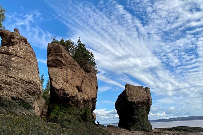 Shore Excursion to Hopewell Rocks and Fundy National Park - Is It Worth the Cost?