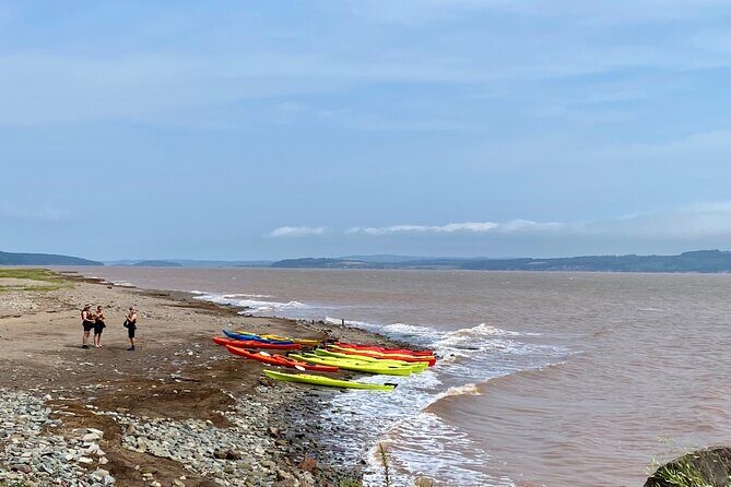 Shore Excursion to Hopewell Rocks and Fundy National Park - Who Should Consider This Tour?