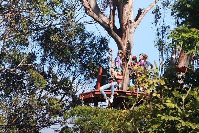 Shore Excursion Zipline Tour for Pride Of America Passengers - Key Points