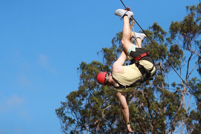Shore Excursion Zipline Tour for Pride Of America Passengers - Is This Tour Worth the Price?