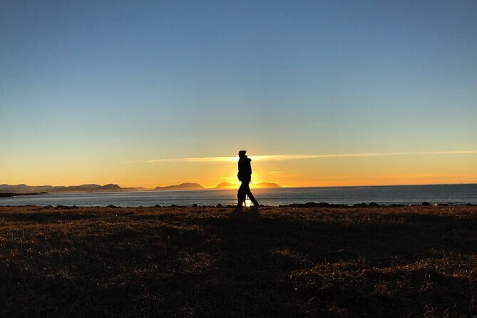 Shore Excursions Ålesund: Highlights Ålesund & Islands - Who Should Consider This Tour?