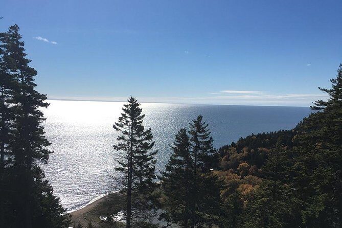 Shore Tours - Who Should Book This Tour?