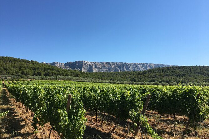 Short Day Tour around Aix en Provence and Wine Tasting - An In-Depth Look at the Tour Itinerary