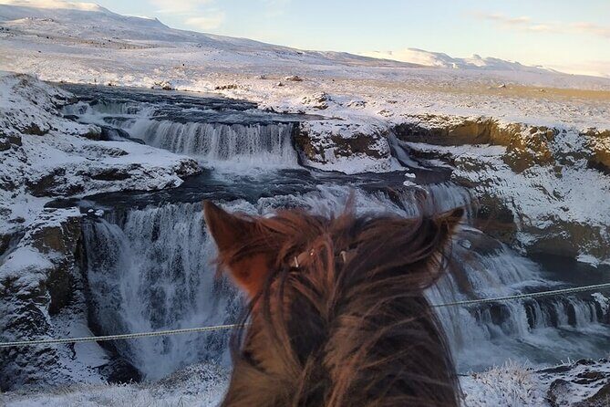 Short Riding Tour with Eye-Catching Photos at Waterfall - A Handy Guide to the Short Riding Tour with Eye-Catching Photos at Reykjafoss Waterfall