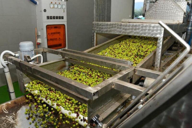 Short Tour of Olympia, an Olive Oil Press & St. Andrew Beach - Frequently Asked Questions