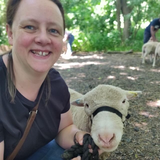 Shropshire: Sheep Trek with the Smallest Sheep in the World - What to Expect During the Experience