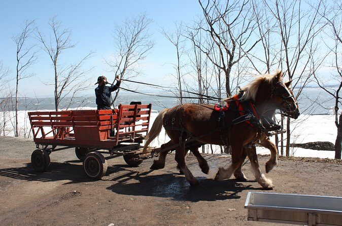 Shuttle from Quebec City to Sugar Shack / Navette Cabane a Sucre - Analyzing the Value