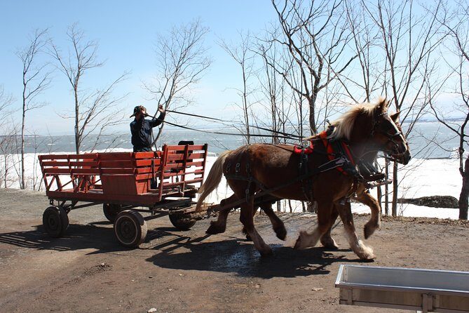 Shuttle from Quebec City to Sugar Shack / Navette Cabane a Sucre - Final Thoughts