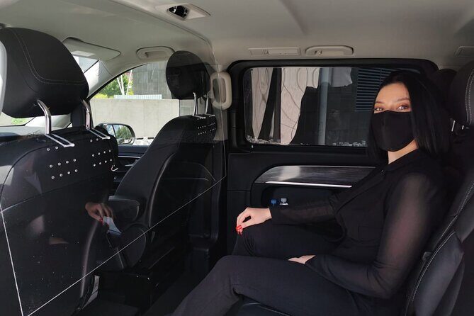 Shuttle Transfer Arrivals: Madrid Airport to City Center - Booking and Pricing