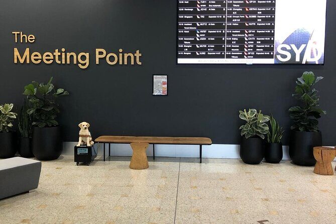 Shuttle Transfer from Sydney Airport to Cruise Ship Terminal at Circular Quay - Pricing and Value