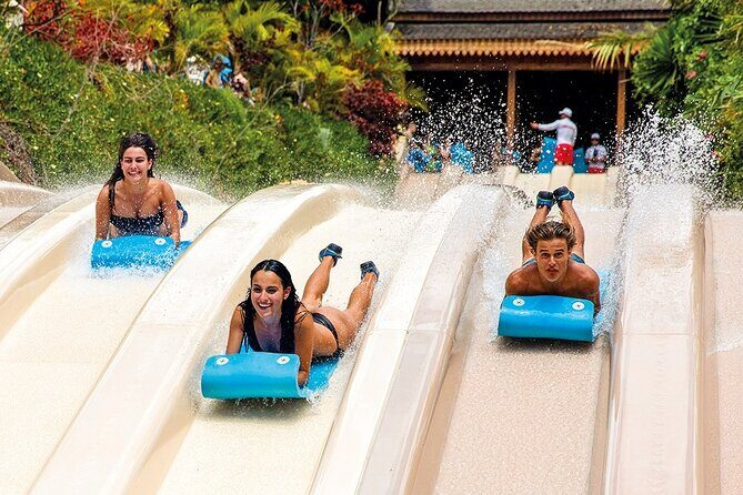 Siam Park Tenerife Entry Tickets - Attractions and Highlights