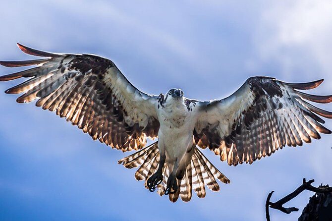 Sian Ka'an Adventure Full Day Trip to Punta Allen - The Full Experience: What to Expect