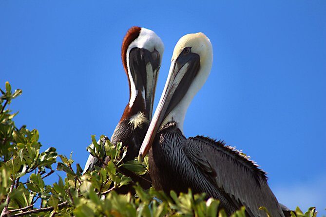 Sian Ka'an Adventure Full Day Trip to Punta Allen - Who Should Book This Tour?