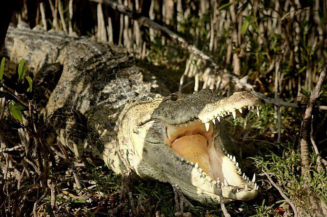 Sian Ka'an Adventure Full Day Trip to Punta Allen - Frequently Asked Questions