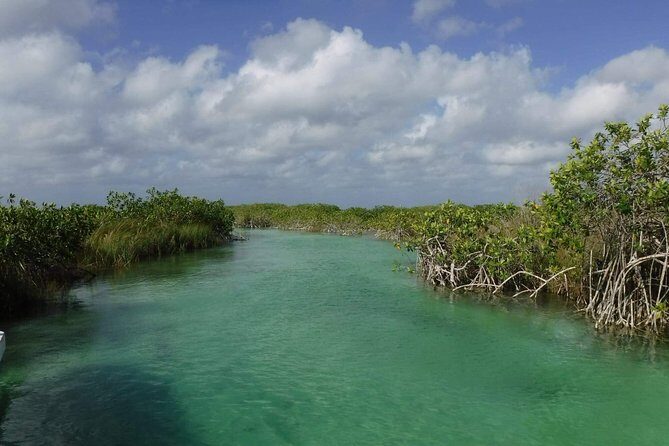 Sian Ka'an Adventure (Private, Full Day) - Final Thoughts: Who Is This Tour Best For?