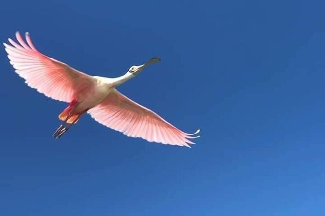 Sian Ka'an Biosphere Full Day Boat Tour with Lunch - FAQs