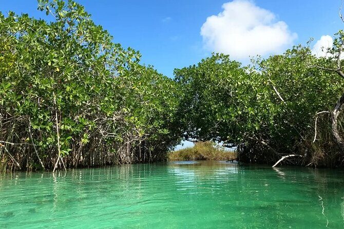 Sian Ka'an Biosphere Reserve Guided Tour - What to Expect from the Tour