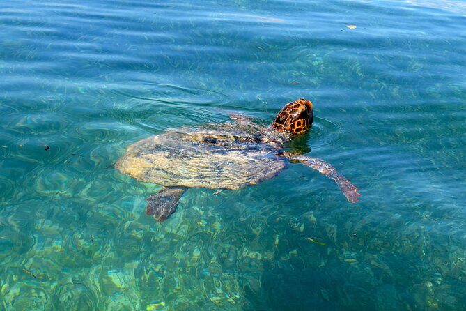 Sian Ka'an Boat Experience from Riviera Maya to Tulum - The Sum Up