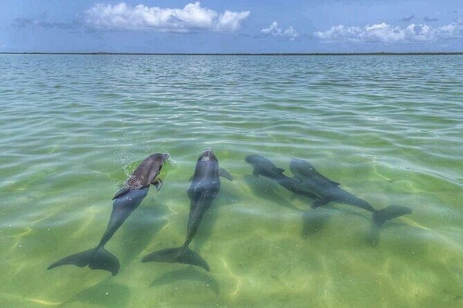 Sian Ka'an Boat Experience from Riviera Maya to Tulum - FAQs