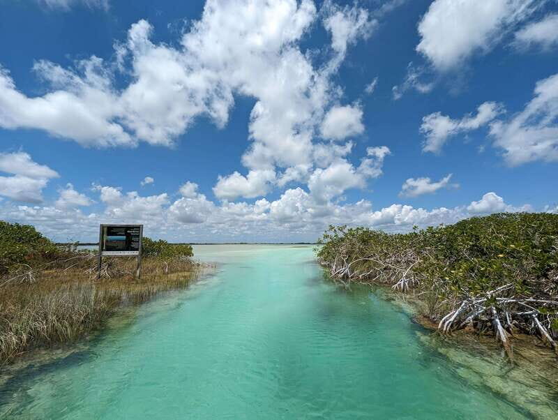 Sian Ka'an Channels and Underground River - Private Tour - A Complete Breakdown of the Tour Experience
