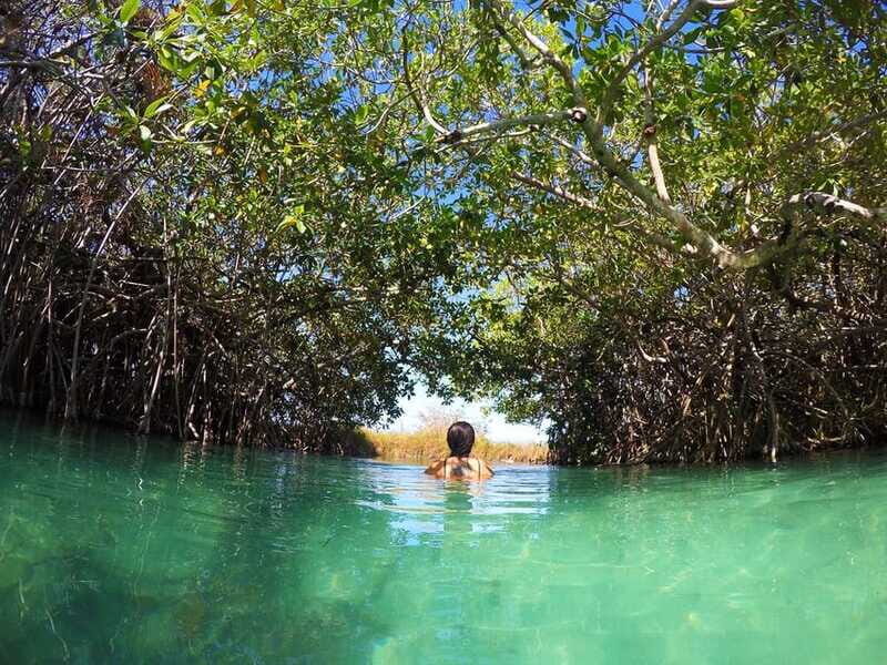 Sian Ka'an Channels and Underground River - Private Tour - Who Should Consider This Tour?